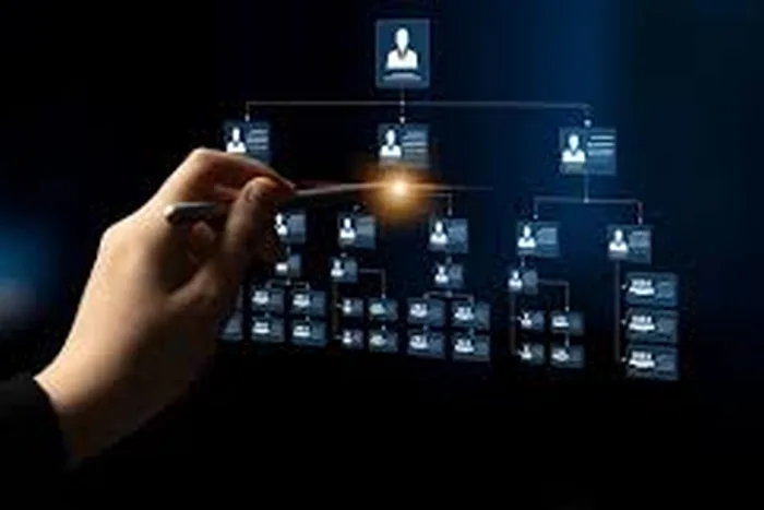 Organizational architecture